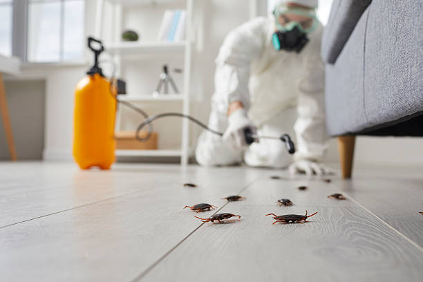 Commercial Kitchen Cockroach Control in Macopin
